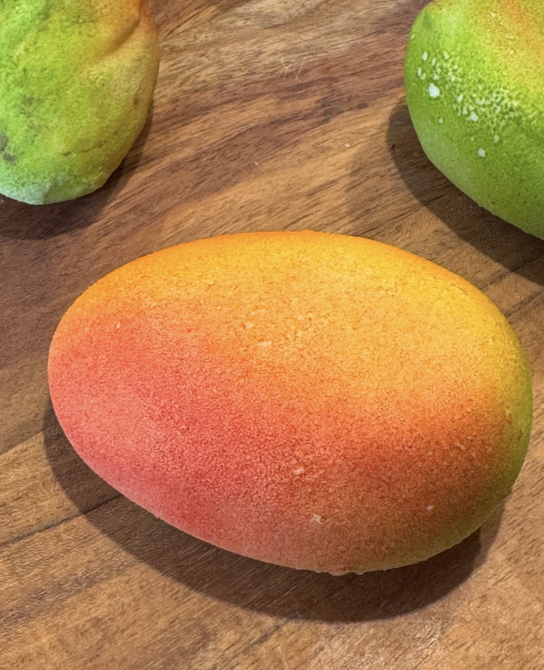 LA MANGUE EN TROMPE L’OEIL ( A PARTIR DE 10 ANS)